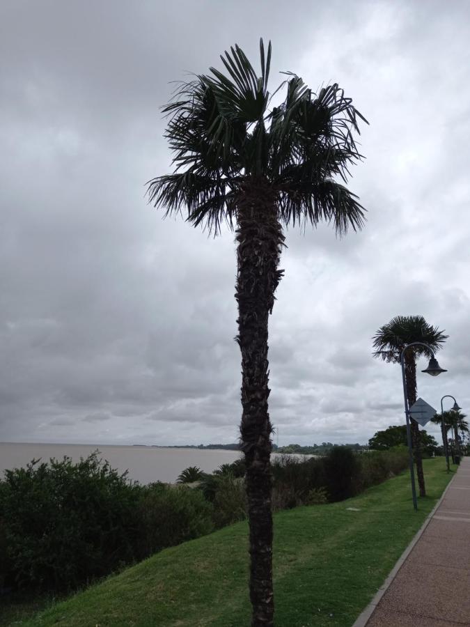 Monoambiente En Colonia Apartment Colonia del Sacramento Bagian luar foto